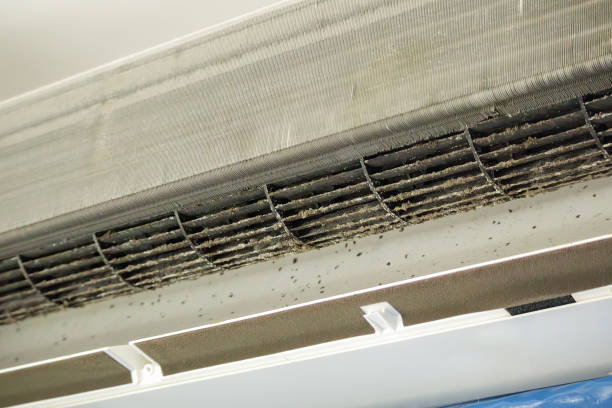Best Home Air Vent Cleaning  in Southside Place, TX