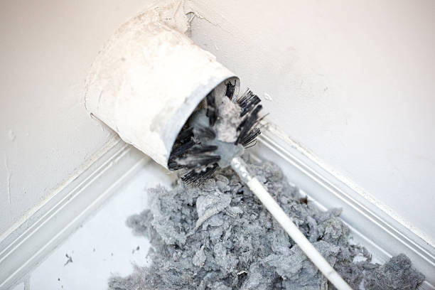 Best Local Air Duct Cleaning Services  in Southside Place, TX